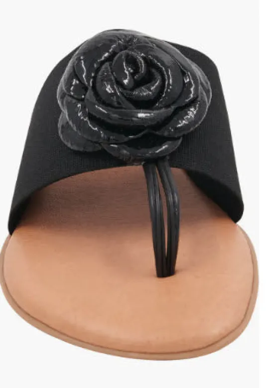 The Elastic Thong Sandal w Flower in Black