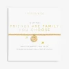 The Friends Are Family You Choose Bracelet in Gold