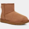 The Ugg Classic Mini II Boot in Chestnut