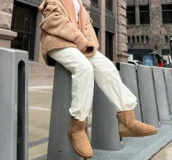 The Ugg Classic Mini II Boot in Chestnut