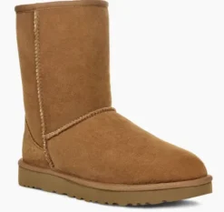 The Ugg Classic Short Boot in Chestnut